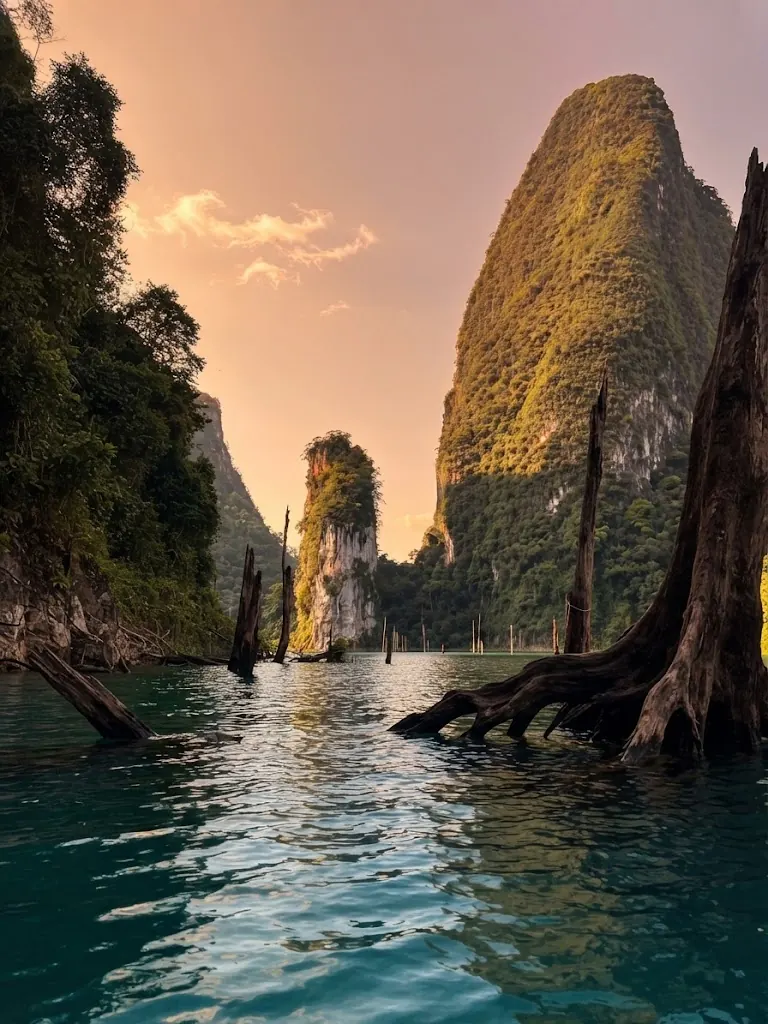 Karst spire and drowned tree trunks in the lake at sunset